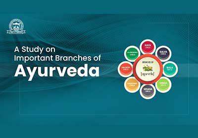 branches of Ayurveda
